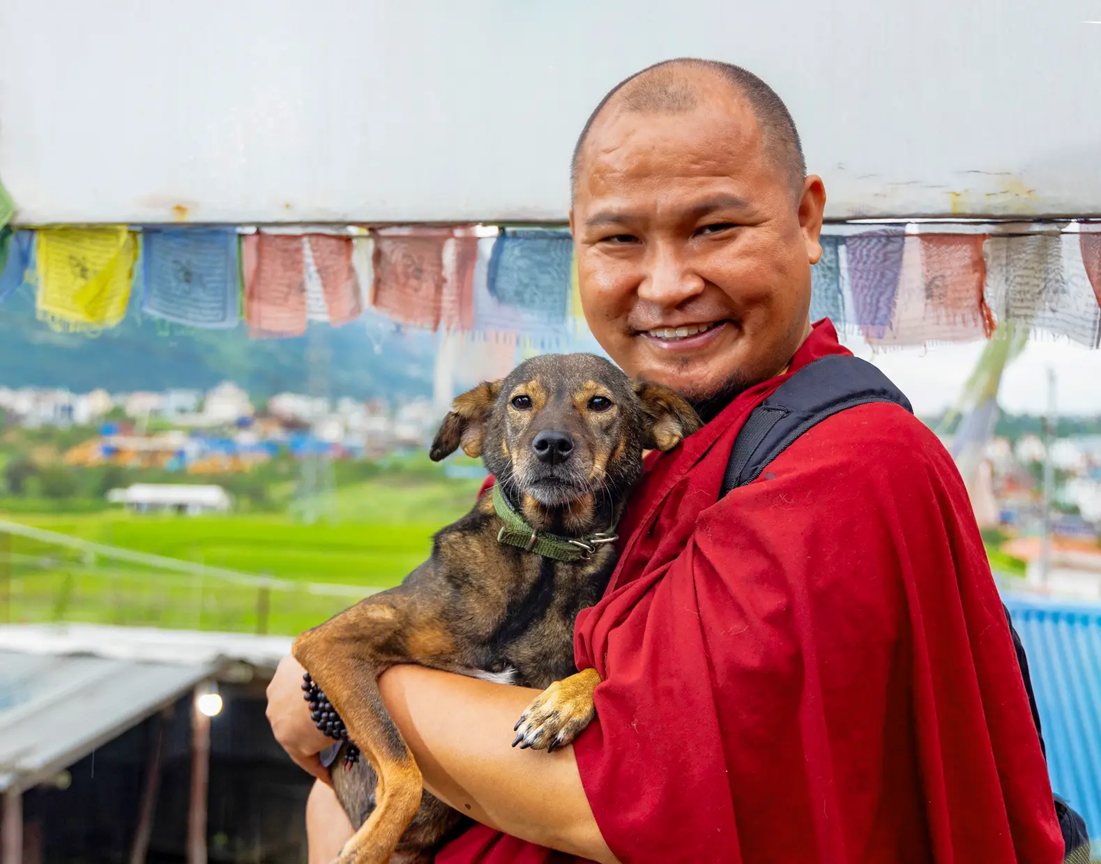 Monk caring for a rescued animal